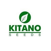 Лого Китано